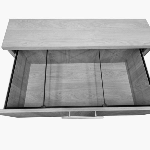 Union Rustic Deliylah 2Drawer Lateral Filing Gray Oak Wayfair